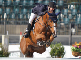 McLain Ward y Contagious cabalgaron el $37,000 Horseware Ireland Welcome Stake CSI3*.