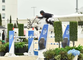 Aaron Vale y Gray’s Inn los mejores del $62,500 Wheels Up Grand Prix Qualifier CSI3*.