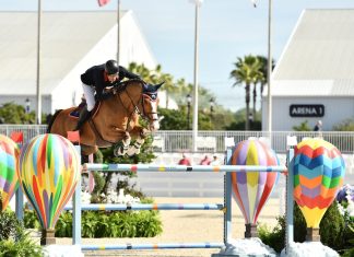 Carlos Hank Guerreiro de México con la segunda posición en el $117,000 Marine Corps Heritage Foundation Grand Prix Qualifier CSI4*.