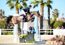 Niels Bruynseels victorioso en el Gran Premio CSI2* del Spring MET 2025.