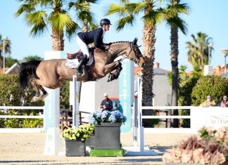 Niels Bruynseels victorioso en el Gran Premio CSI2* del Spring MET 2025.