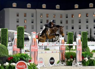 Will Simpson y Keminko N vencen en el $120,000 Coca-Cola Beverages Florida Gran Prix CSI3*.