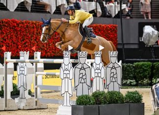 Yuri Mansur y Vitiki vencieron el Championat City of Basel «Golden Drum».