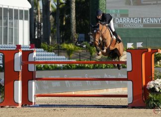 Darragh Kenny cerró la primera semana del WEF dominando el $32,000 Hermès CSI3* 1.50m Classic.