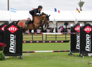 Henrik von Eckermann vuela en el $32,000 FEI 3* Dodd Technologies 1.45m.