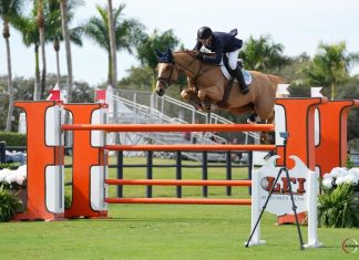 McLain Ward y Princess Dalou H crecidos en el $32,000 Hermès CSI3* 1.50m Classic.
