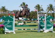 Nicola Philippaerts regresa con victoria del $62,500 Adequan CSI4* WEF Challenge Cup Round 4.
