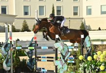 Alice Oken y Lady Fex definieron en el $32,000 Budweiser Grand Prix CSI2*.