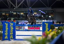 Daniel Deusser en el tope del CSI5* 1.50m De Telegraad Priz.