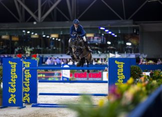 Daniel Deusser en el tope del CSI5* 1.50m De Telegraad Priz.