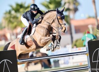 Giavanna Rinaldi y Mijnheer van de Lentamel sorprenden en el Grand Prix Trofeo Oliva Nova Beach & Golf Resort.