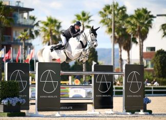 Jerome Guery en claro dominio belga se llevó el CSI3* 1.50m CHG Grand Prix en España.