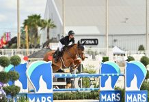 Nina Mallevaey y My Clementine con Hat Trick en Ocala.