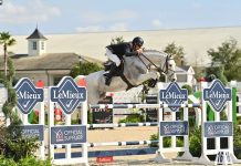 Aaron Vale sema otra victoria en Ocala al dominar el $117,000 Lemieux Grand Prix Qualifier CIS4*.