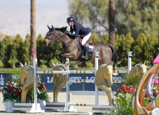 Conor Swail cabalgó el $45,000 CSI2* PRO Series Equeine Grand Prix en Thermal.