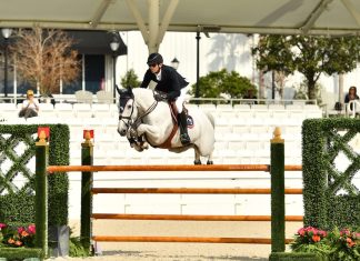 Eduardo Menezes victorioso en el $65,000 Budweiser Grand Prix CSI2*.