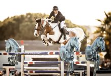 Gerrit Nieberg sentenció al final el CSI4* Equine America Big Tour Grand Prix 1.55m en del Sunshine Tour.