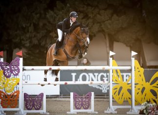 Graham Gillespie sella el CSI4* Tesalia Small Grand Prix 1.45 en Vejer de la Frontera.