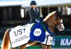 Marilyn Little cerró quinta semana del WEF al dominar el $62,500 1/ST CSI2* Grand Prix.