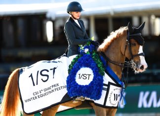Marilyn Little cerró quinta semana del WEF al dominar el $62,500 1/ST CSI2* Grand Prix.