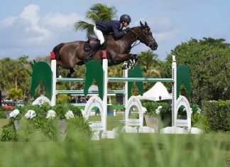 Michael Murphy y Kaida CM impuso el ritmo del $62,500 Griffis Residential CSI2* Grand Prix.