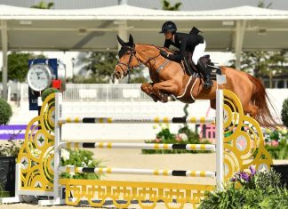 Nina Mallevaey y My Clementine con primera victoria en el $32,000 1.45m Two Phase Special CSI5*-W de Ocala.