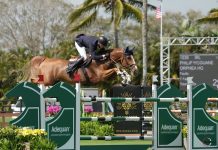 Philip McGuane de Irlanda cabalga en el $62,500 Adequan® WEF Challenge Cup Round 6.