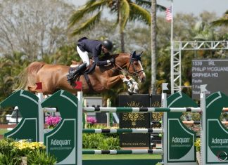 Philip McGuane de Irlanda cabalga en el $62,500 Adequan® WEF Challenge Cup Round 6.