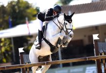 Roberto Terán Tafur es segundo en el $62,500 FEI 5* Baingridge Companies 1.50 Classic.