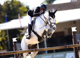 Roberto Terán Tafur es segundo en el $62,500 FEI 5* Baingridge Companies 1.50 Classic.