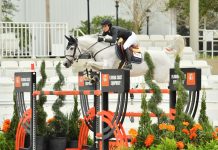 Jessica Springsteen directo a la victoria del $117,000 Florida Coast Equipment Grand Prix Qualifier CSI4*.
